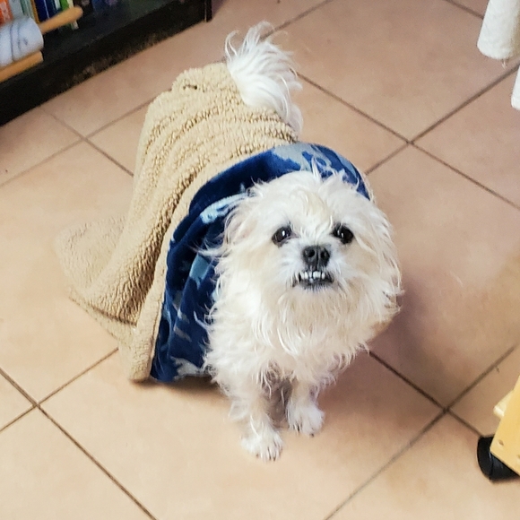 Meet your Posher, Andrea - Picture 4 of 7